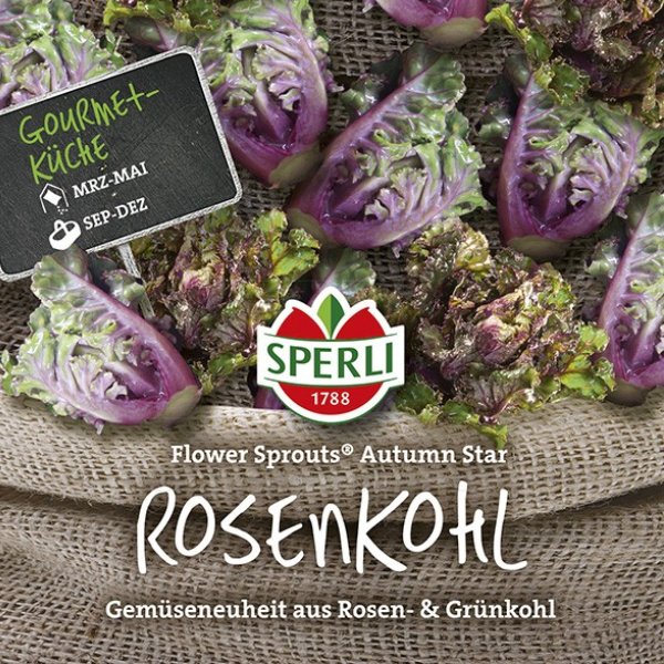 Rosenkohl Flower Sprouts® Autumn Star Bild 1