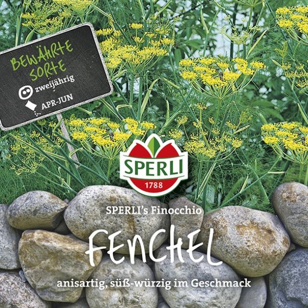 Fenchel SPERLI's Finocchio Bild 1
