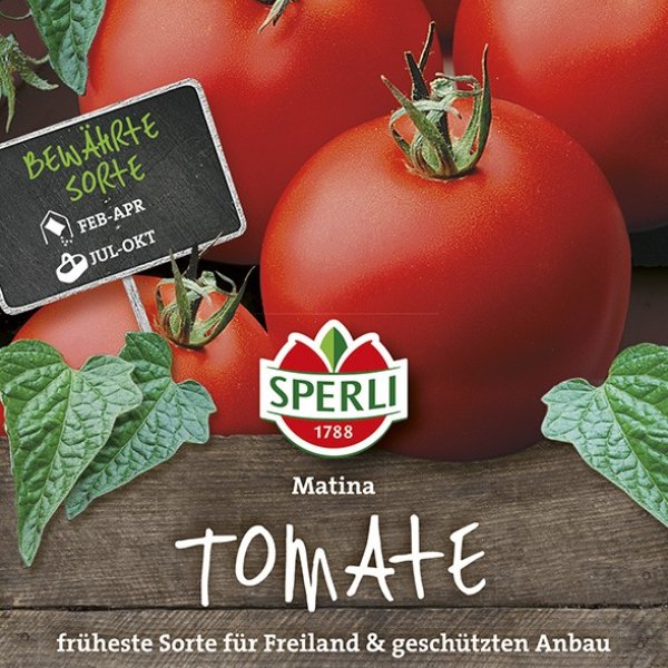 Tomaten Matina Bild 1